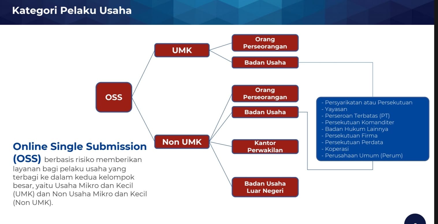 Online Single Submission (OSS)
